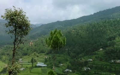 Why Plots in Jim Corbett Nainital are Perfect for Family Retreats