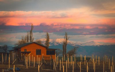 Plots in Jim Corbett