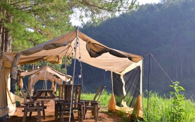 Exclusive Discounts on Corbett Stays