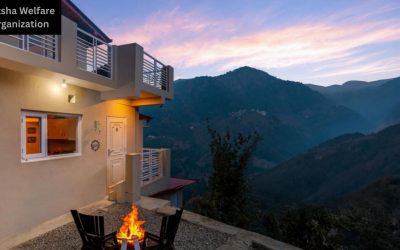 Luxury Apartments Surrounded by Nature