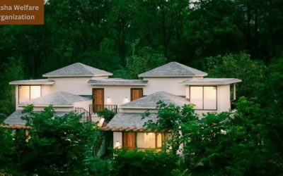 Plots Near Jim Corbett for Investment