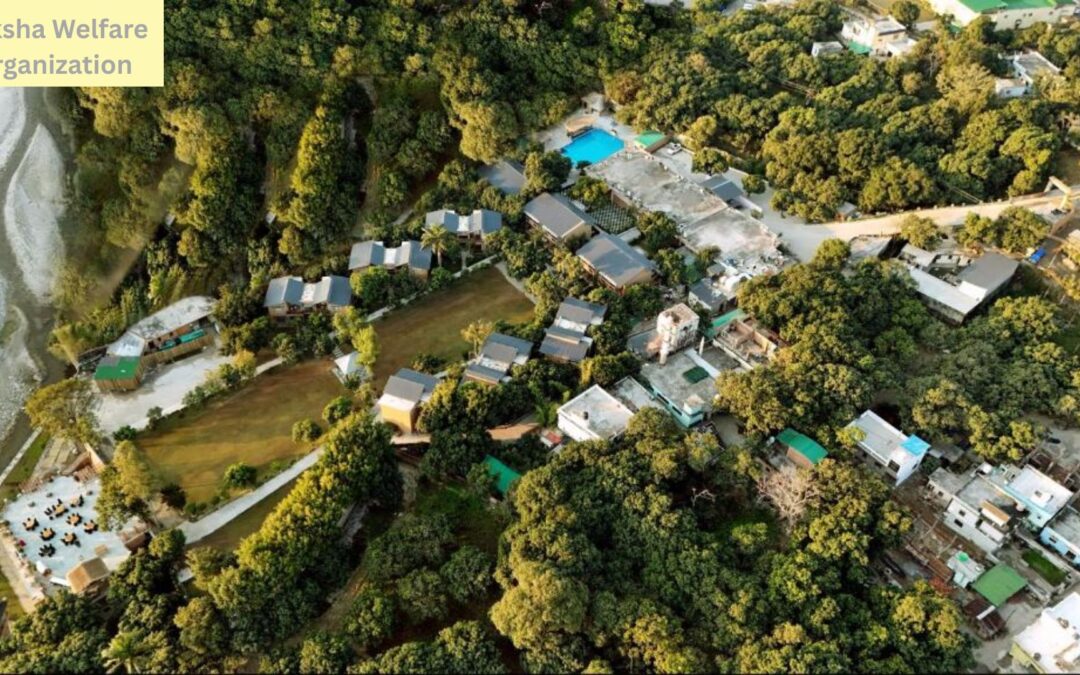 Eco-Luxury Real Estate in Jim Corbett